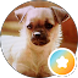 Profile photo of kee kee del arichee
