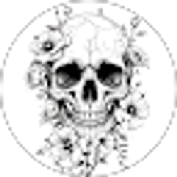 Profile photo of Abby Rmz