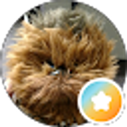 Profile photo of David C