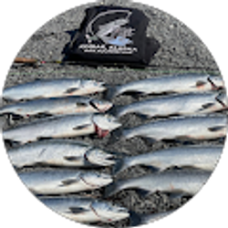 Profile photo of aj barton