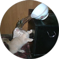 Profile photo of Rae Posey