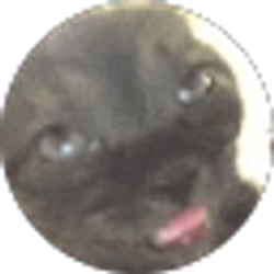 Profile photo of Nick Rivera