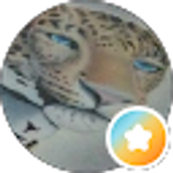Profile photo of stacy cook