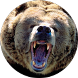 Profile photo of Jose Soto