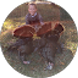 Profile photo of Austin Phillips