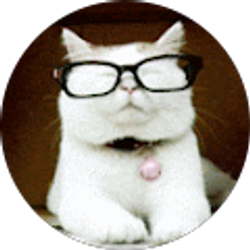 Profile photo of Sajwa Sabree