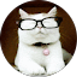 Profile photo of Sajwa Sabree