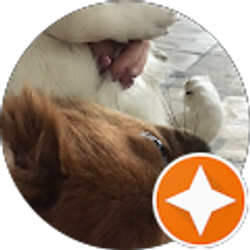 Profile photo of liz Rodríguez