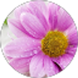 Profile photo of Esmeralda Llerenas