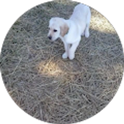 Profile photo of Denise Richmond