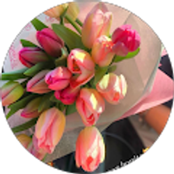 Profile photo of Lucy Manchame