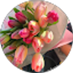 Profile photo of Lucy Manchame