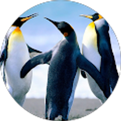 Profile photo of Betty Britton