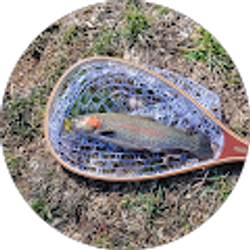 Profile photo of Steve Rowell