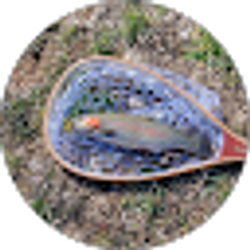 Profile photo of Steve Rowell