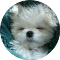 Profile photo of Ann