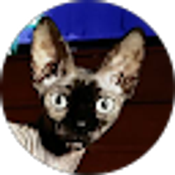 Profile photo of Kim Strong