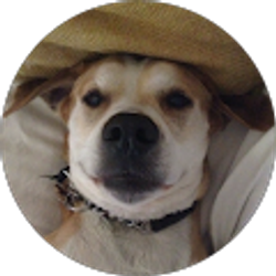 Profile photo of Morgan