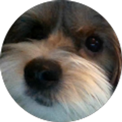 Profile photo of Sharon Kuperman