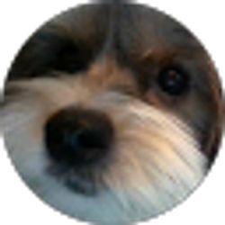 Profile photo of Sharon Kuperman