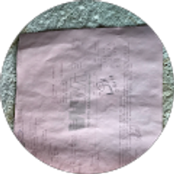 Profile photo of Jose Calles