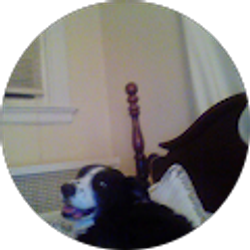 Profile photo of Robert “Lawrence of Arabia” Lawrence