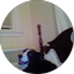 Profile photo of Robert “Lawrence of Arabia” Lawrence