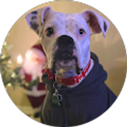 Profile photo of Chris And Steph Tafoya