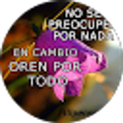 Profile photo of Augusto Bazan Eusebio