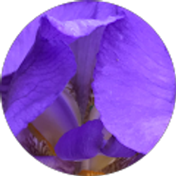 Profile photo of Tammy C