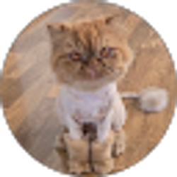 Profile photo of Jimmy Yon