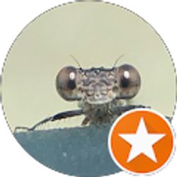 Profile photo of Brian Whone