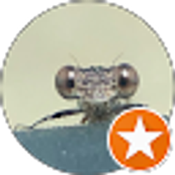 Profile photo of Brian Whone