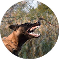 Profile photo of Don Vance