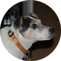 Profile photo of Vickie Uribe