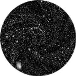 Profile photo of Beau Goudy