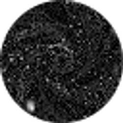 Profile photo of Beau Goudy
