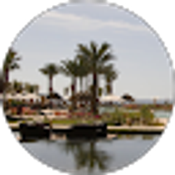 Profile photo of Joanne Portanova