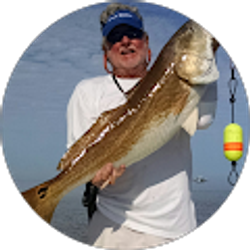 Profile photo of George Williams