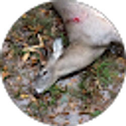 Profile photo of Hayden Potter