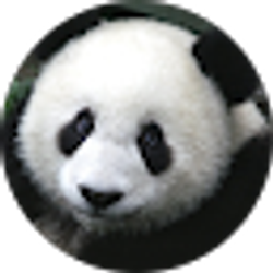 Profile photo of Tao Wei