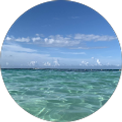 Profile photo of E Velez