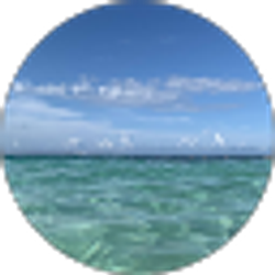 Profile photo of E Velez