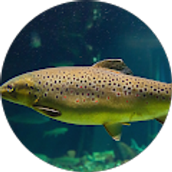 Profile photo of David Vogt