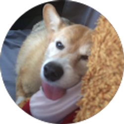 Profile photo of Stephanie Boyette