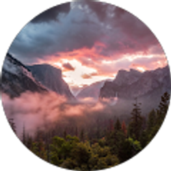 Profile photo of M Landa