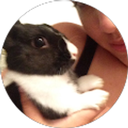 Profile photo of Aidin Villa