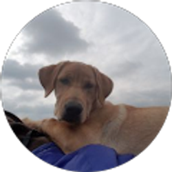 Profile photo of JoAnn Price