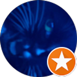 Profile photo of Wylie Campbellski