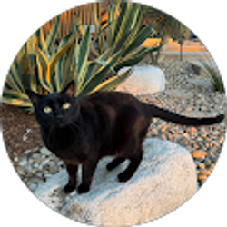 Profile photo of C Grennan